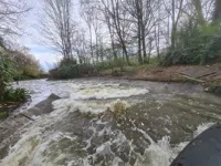 Bengal Rapid River — photo 4